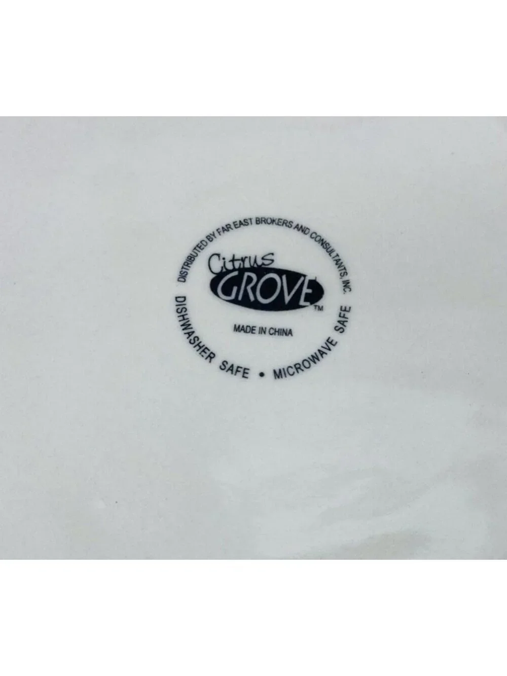 Citrus Grove BEIGE SANDSTONE SWIRL Hand Paint Stoneware Dinner Plates Set Of 4